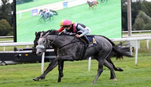 Ghinee Femmine d'Italia