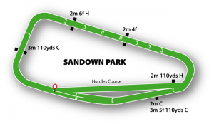 Sandown park