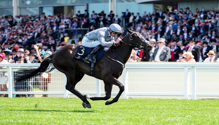 York ebor meeting