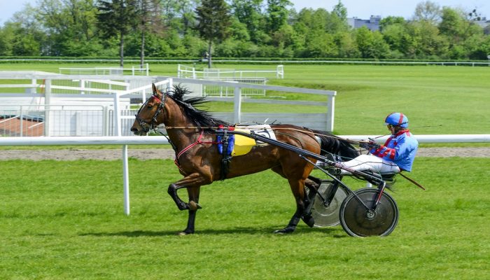 Gran premio continentale