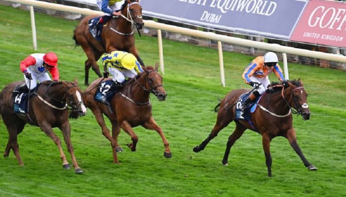 Sceptre Fillies’ Stakes