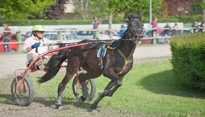 Gran Premio Valentinia