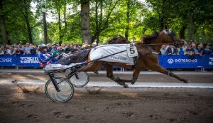 Gran premio delle nazioni