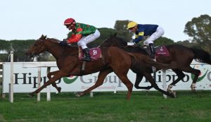 Corse di Cavalli a Capannelle