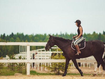 L'importanza del Lavoro alla Corda con il Cavallo