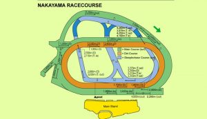Arima Kinen