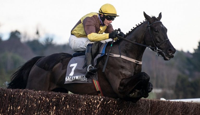 Cavallo Galopin Des Champs