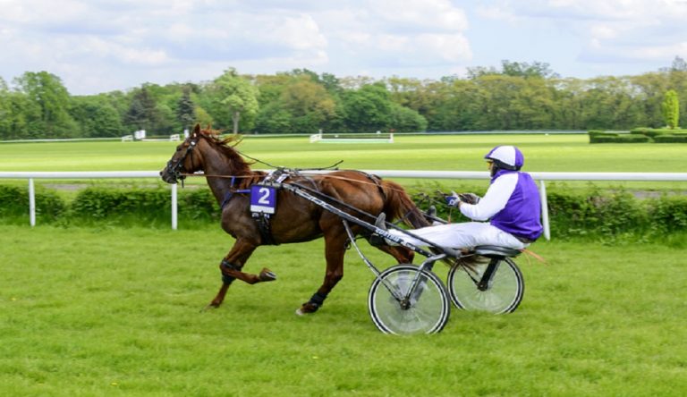 Gran Premio della Vittoria
