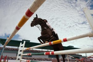 Come preparare un Cavallo Atleta alla Gara