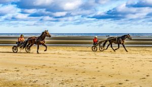Gran Premio Locatelli