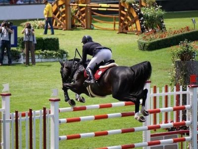 Saltare gli ostacoli a cavallo