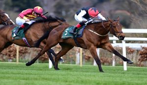 Leopardstown