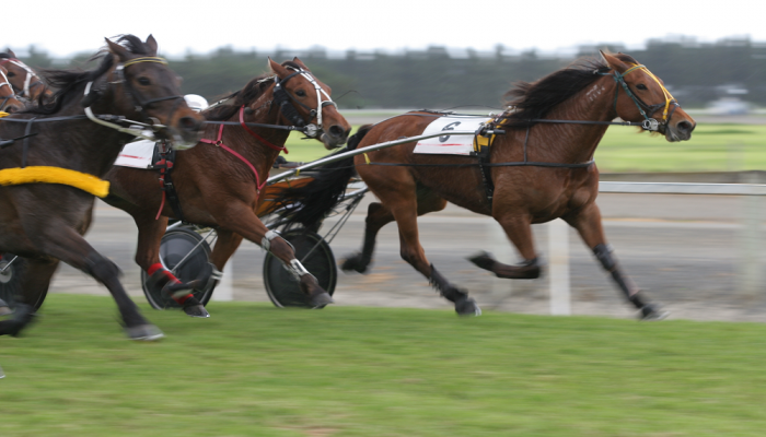 Gran Premio Campania