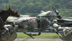 Gran Premio Città di Torino