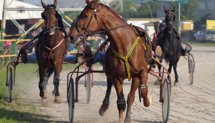 dimitri gran premio cesena