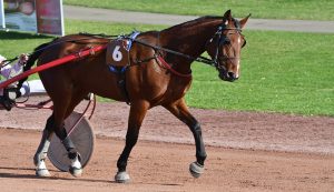 Gran Premio Città di Follonica