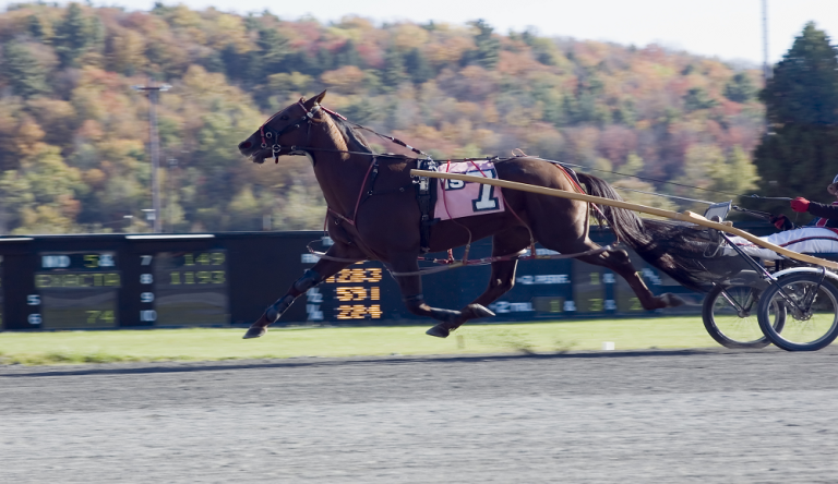 edy a caccia del tris