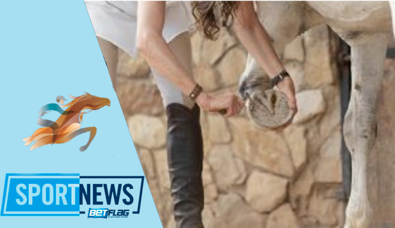 come diventare maniscalco