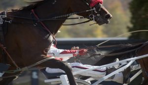 Superfrustino, Tomaso Grassi Award