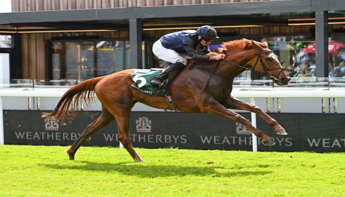 york ebor festival