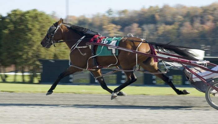 Gran Premio Marangoni e Filly