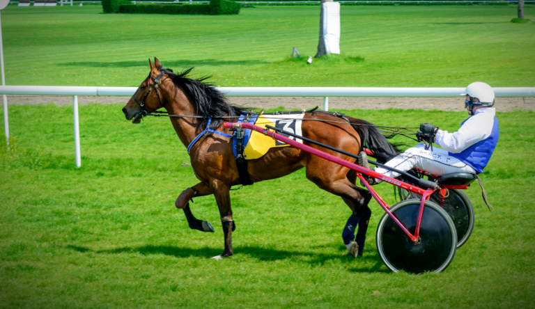 Dimitri Ferm trionfa al gran premio continentale