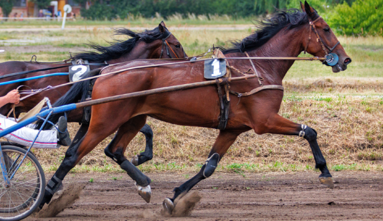il tallone di achille