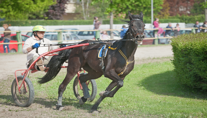 Gran Premio Biasuzzi