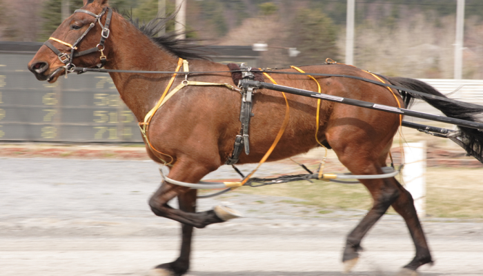 gran premio Valentinia