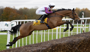 Kempton, cavallo che salta l'ostacolo