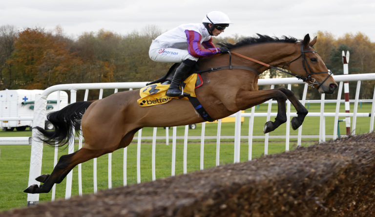 Kempton, cavallo che salta l'ostacolo