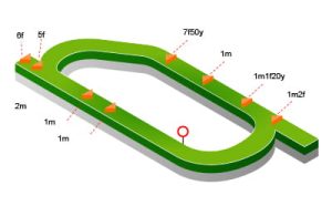 Struttura dell'ippodromo Ayr Racecourse
