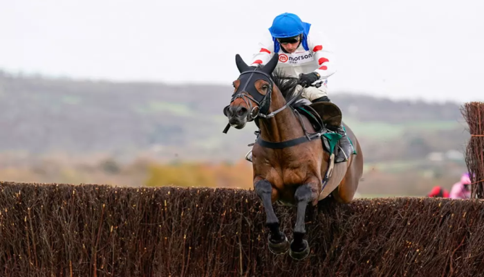 betfair chase