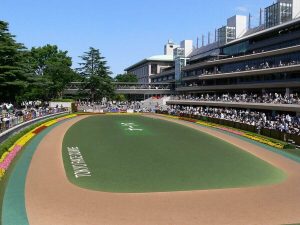 japan cup tokyo racecourse