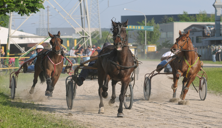 Gran Premio Allevamento Masaf