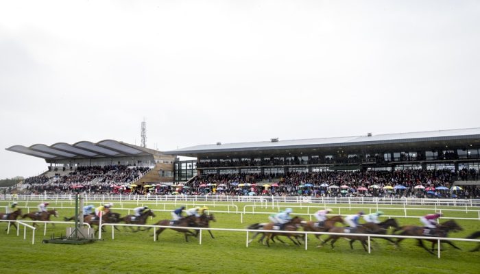 fairyhouse