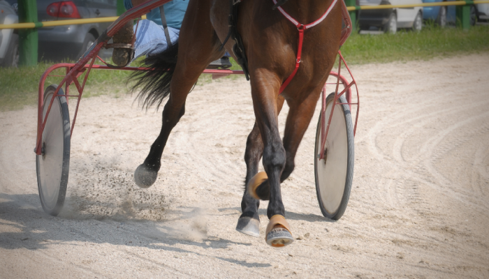 Gran Premio Andreani