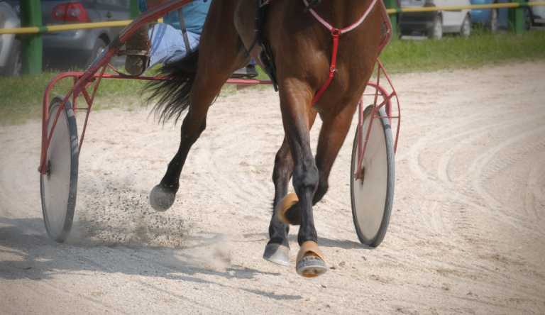 Gran Premio Andreani