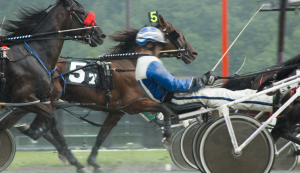 castelluccio dei sauri