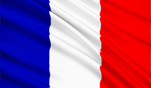 bandiera francese fontainebleau