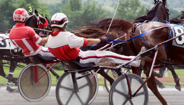 Gran Premio della Lotteria