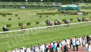 le mans gara cavalli