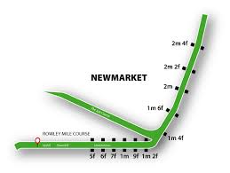 mappa del tracciato di newmarket