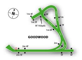 Goodwood mappa dell'ippodromo