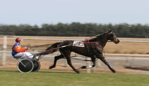 Elise Gran Premio Presidente della Repubblica