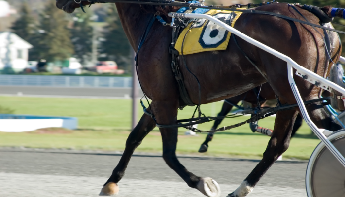 Gran Premio Ivone Grassetto