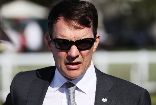 Aidan O’Brien con i suoi cavalli a Fairyhouse