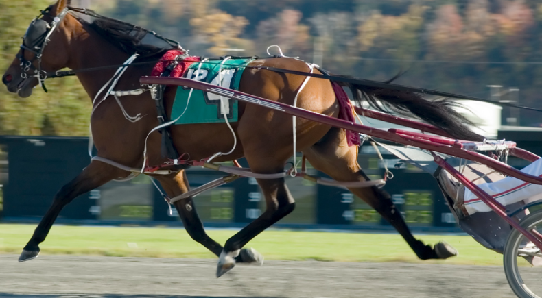 Gran Premio Due Mari