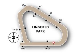 Lingfield Park