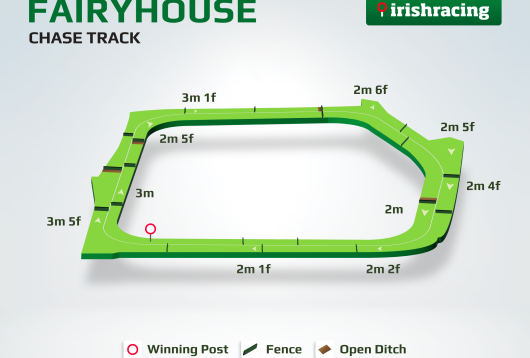 Vista del tracciato di Fairyhouse